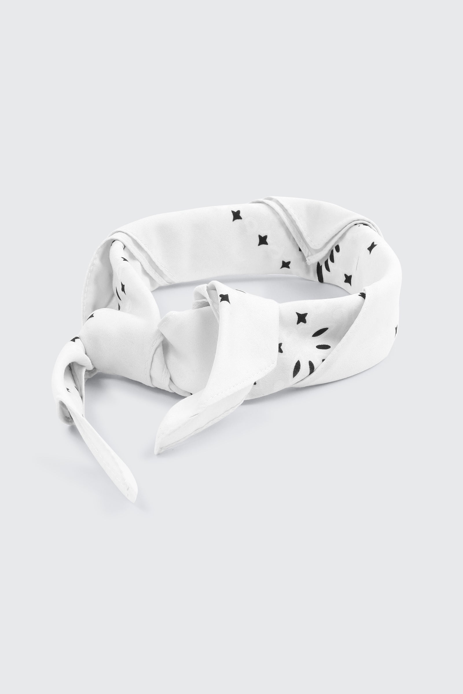 Paisley Bandana