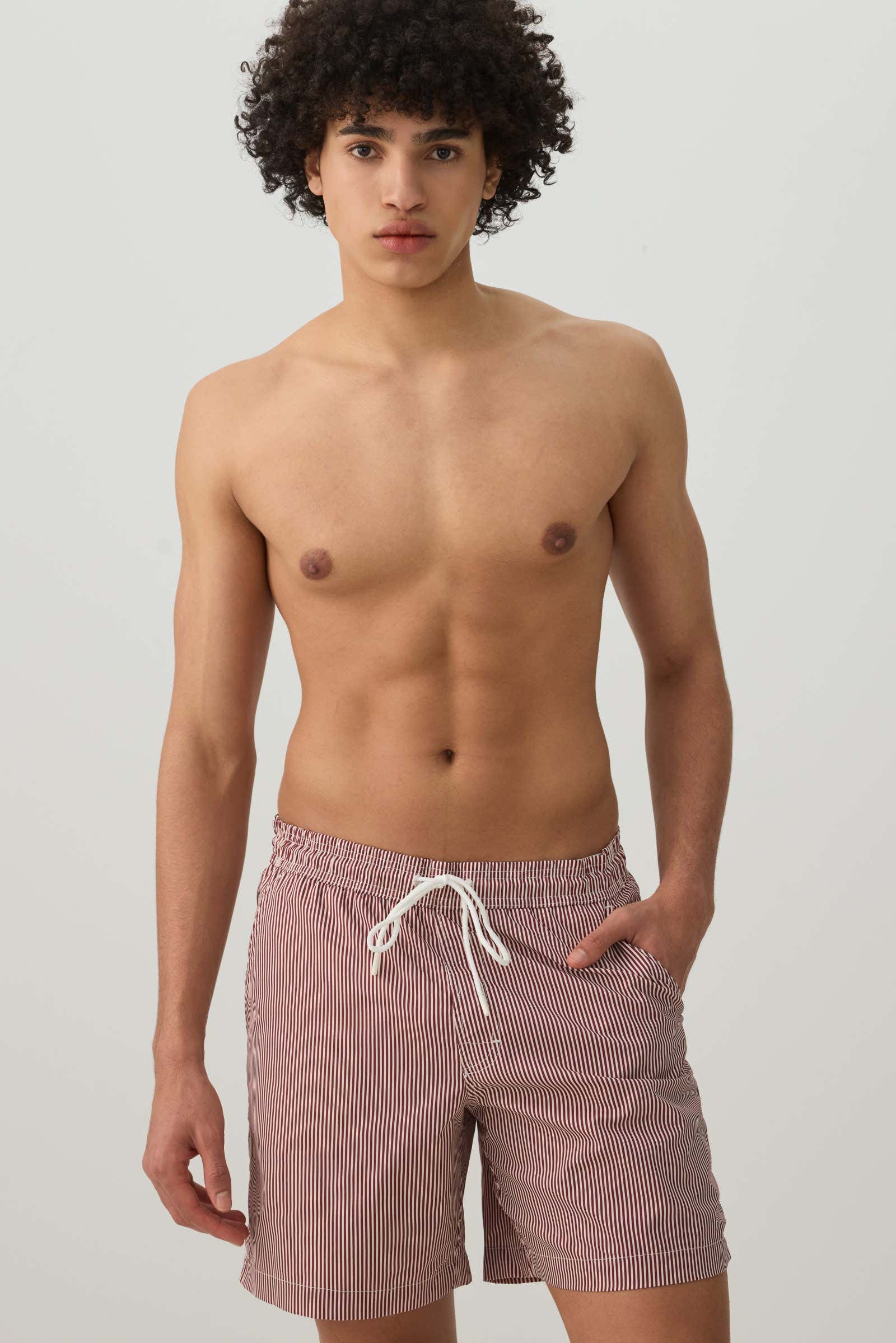 Striped Print Swim Trunks