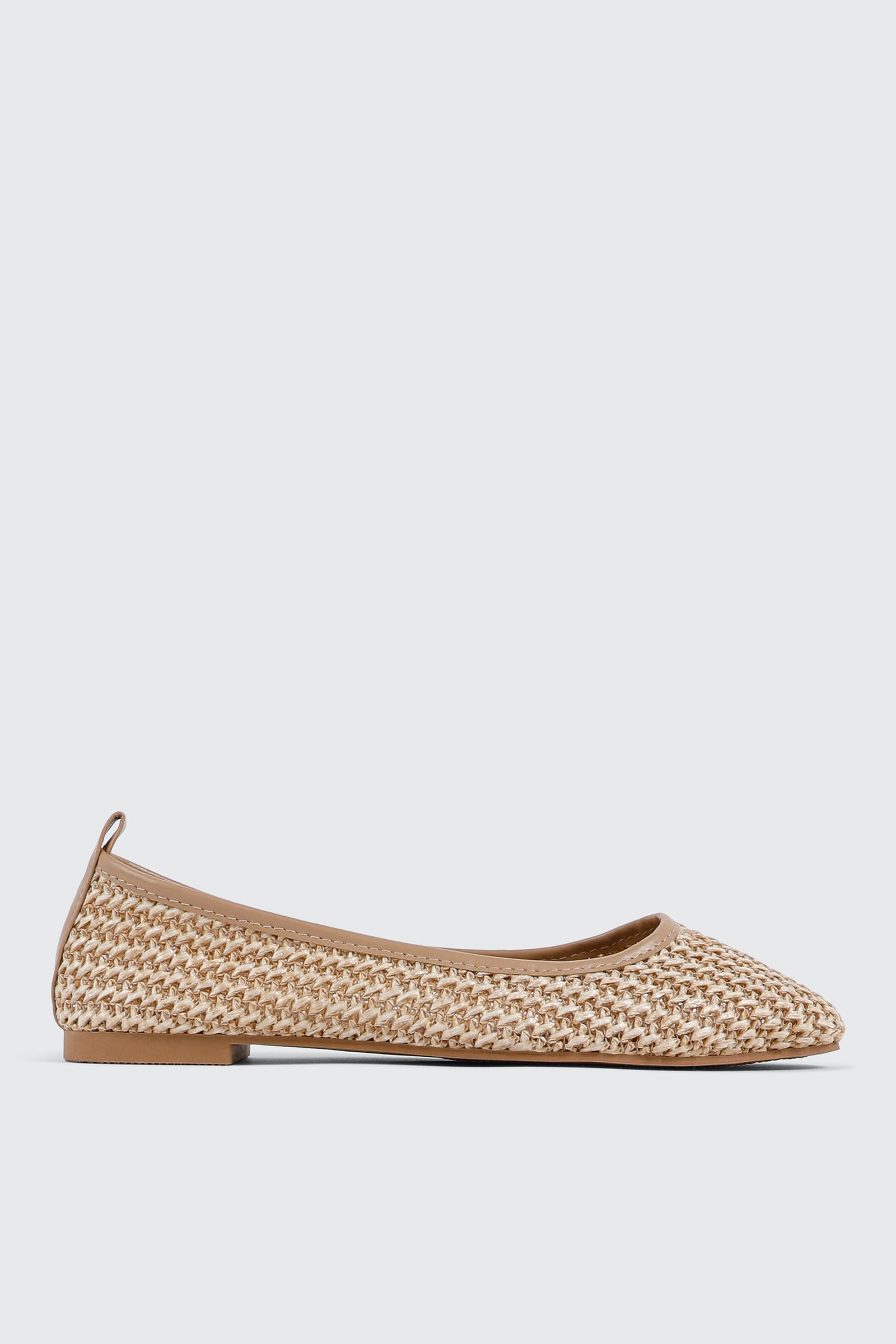 Pointed Toe Flats