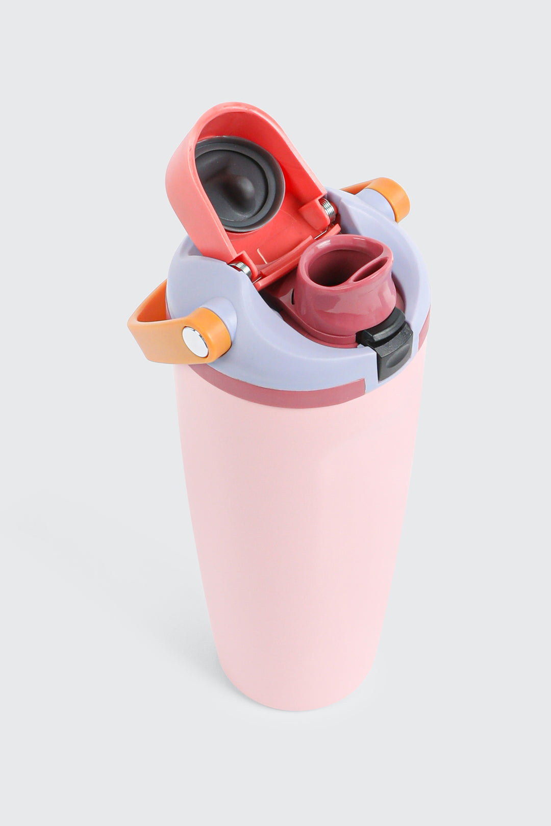 Insulated Stainless Steel Water Bottle