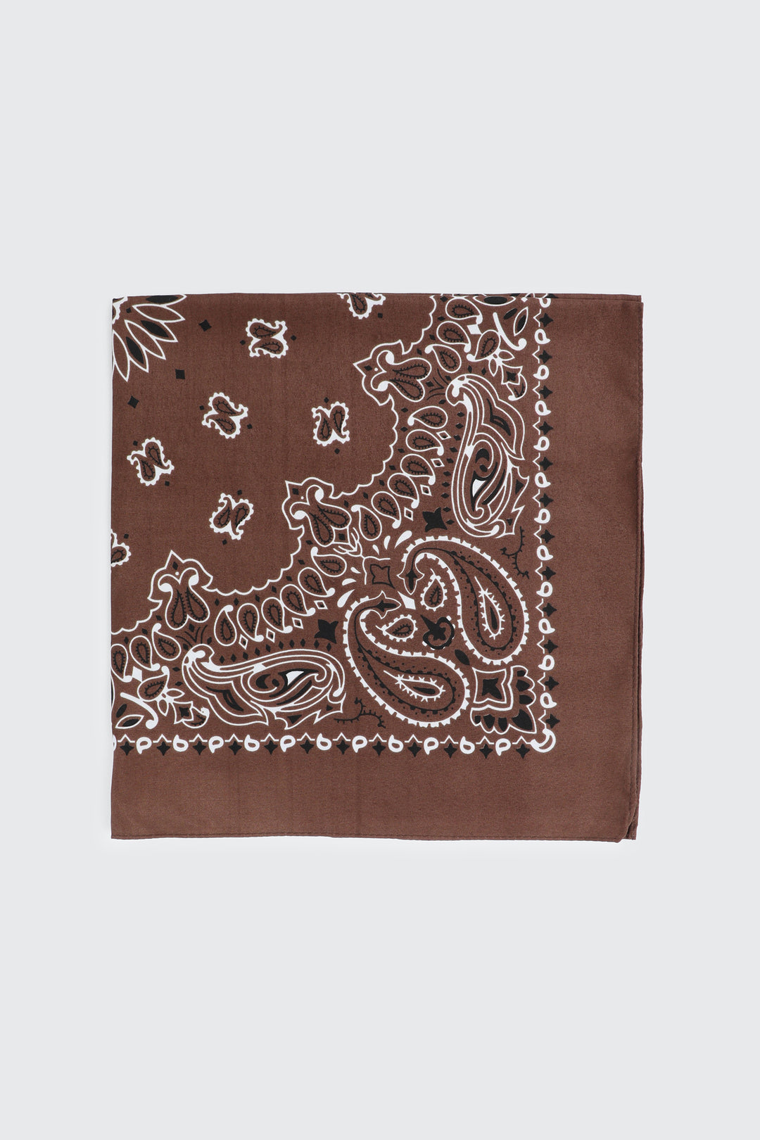 Paisley Bandana