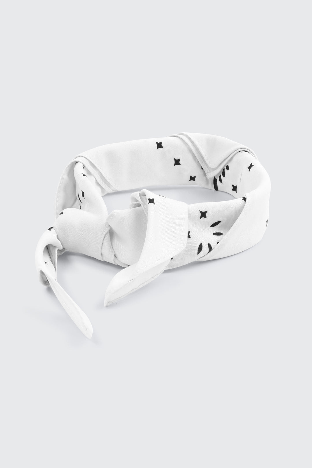 Paisley Bandana
