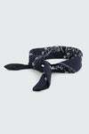 Paisley Bandana