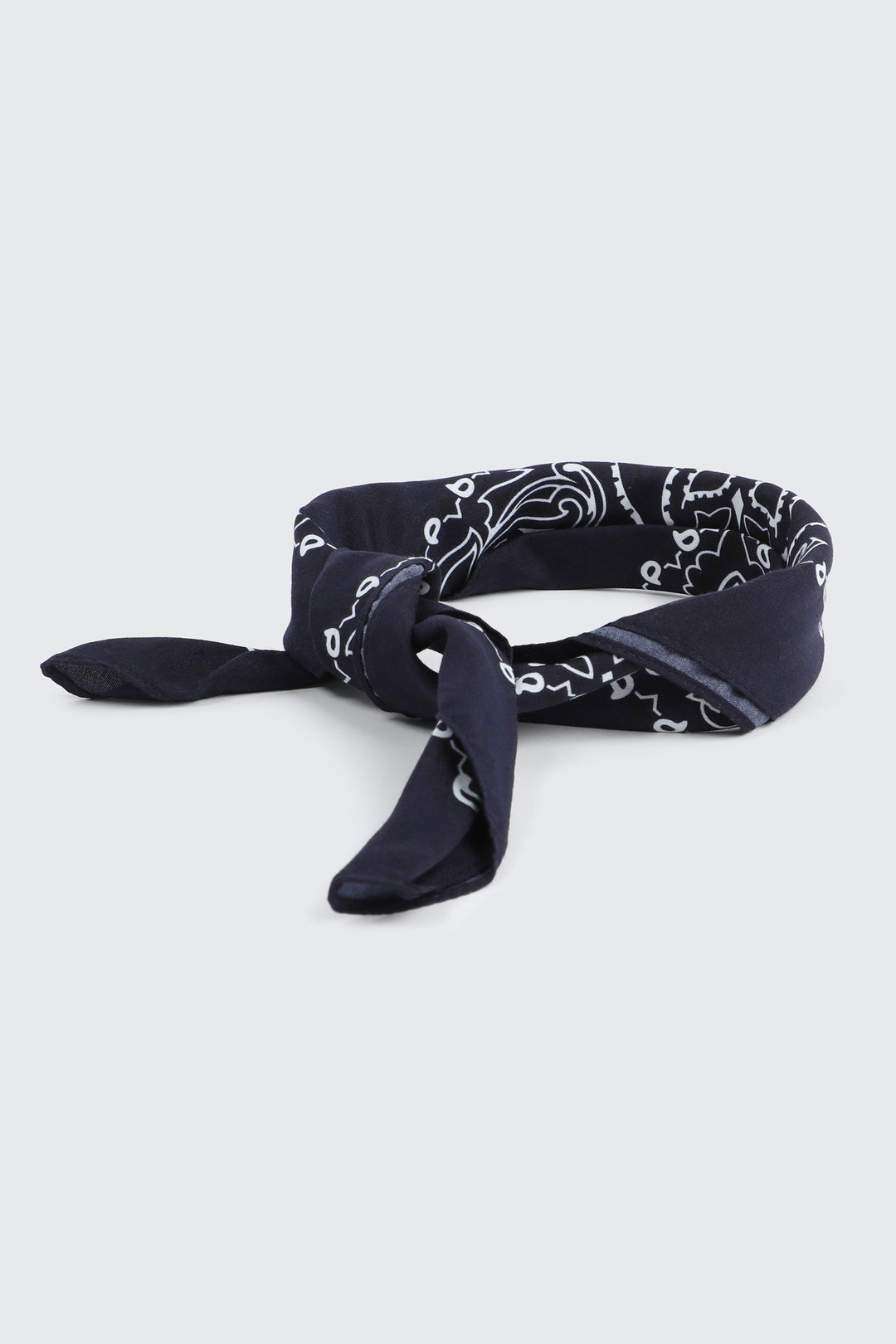 Paisley Bandana
