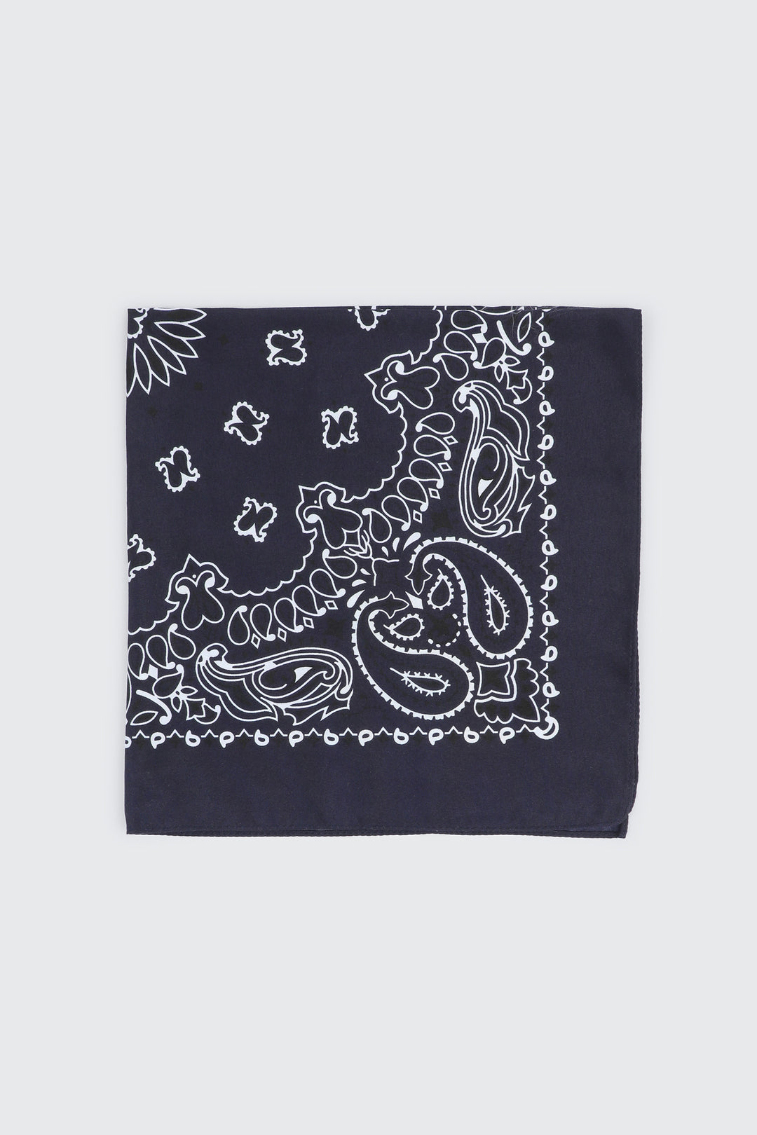 Paisley Bandana