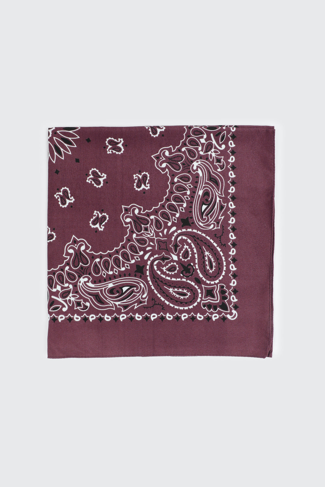 Paisley Bandana