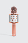 Wireless Microphone Hi-FI Speaker
