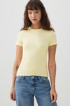 Basic Fitted Short Sleeve T-Shirt