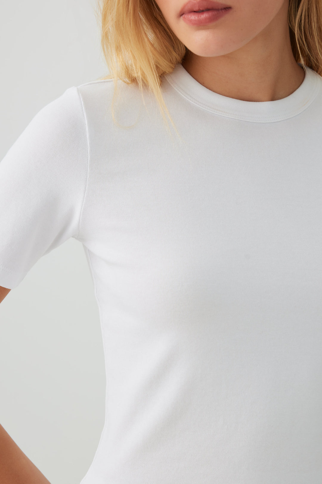 Basic Cropped Rib Crew T-Shirt