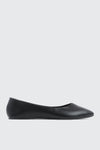 Pointy Toe Flats