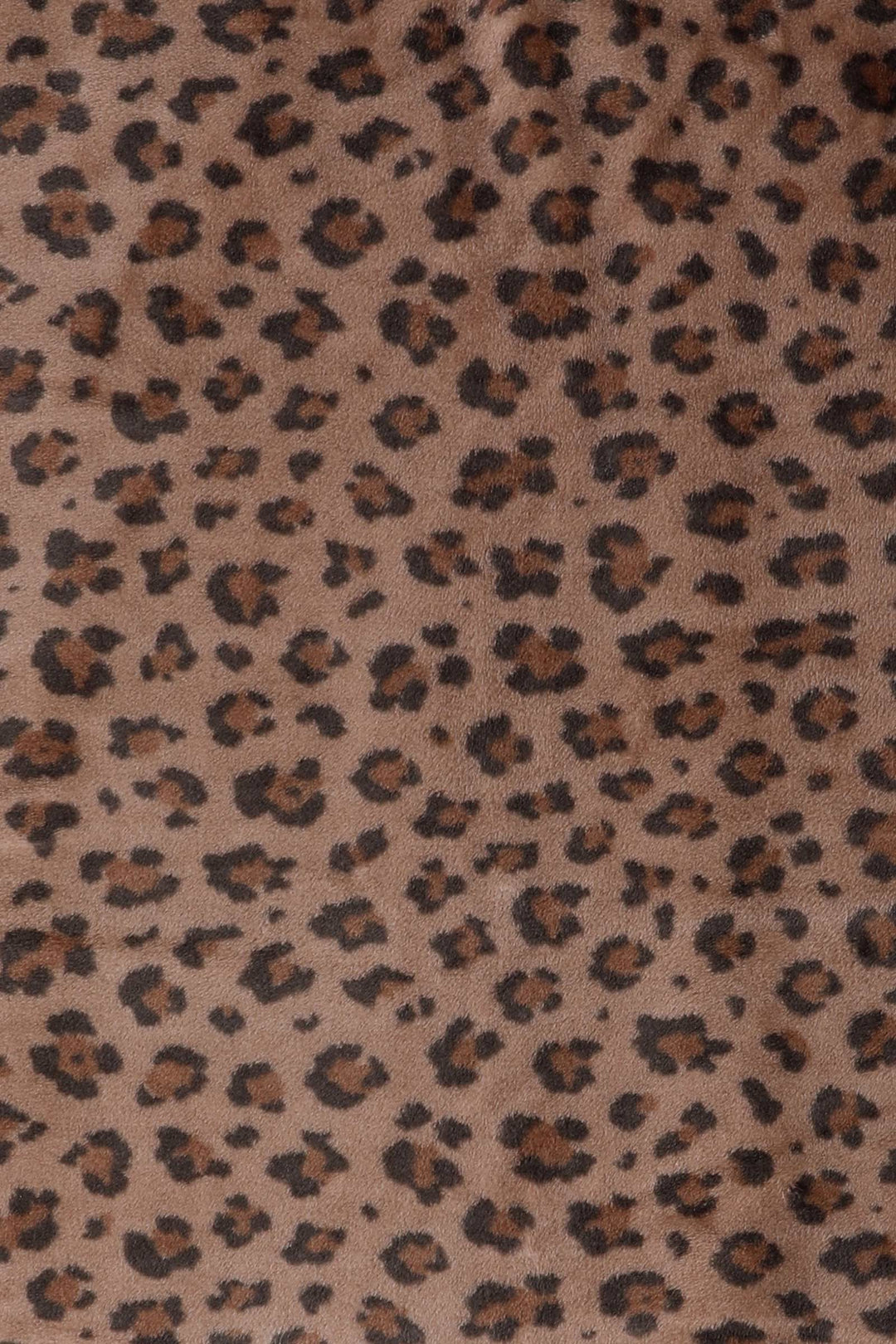 Leopard Print Throw Blanket