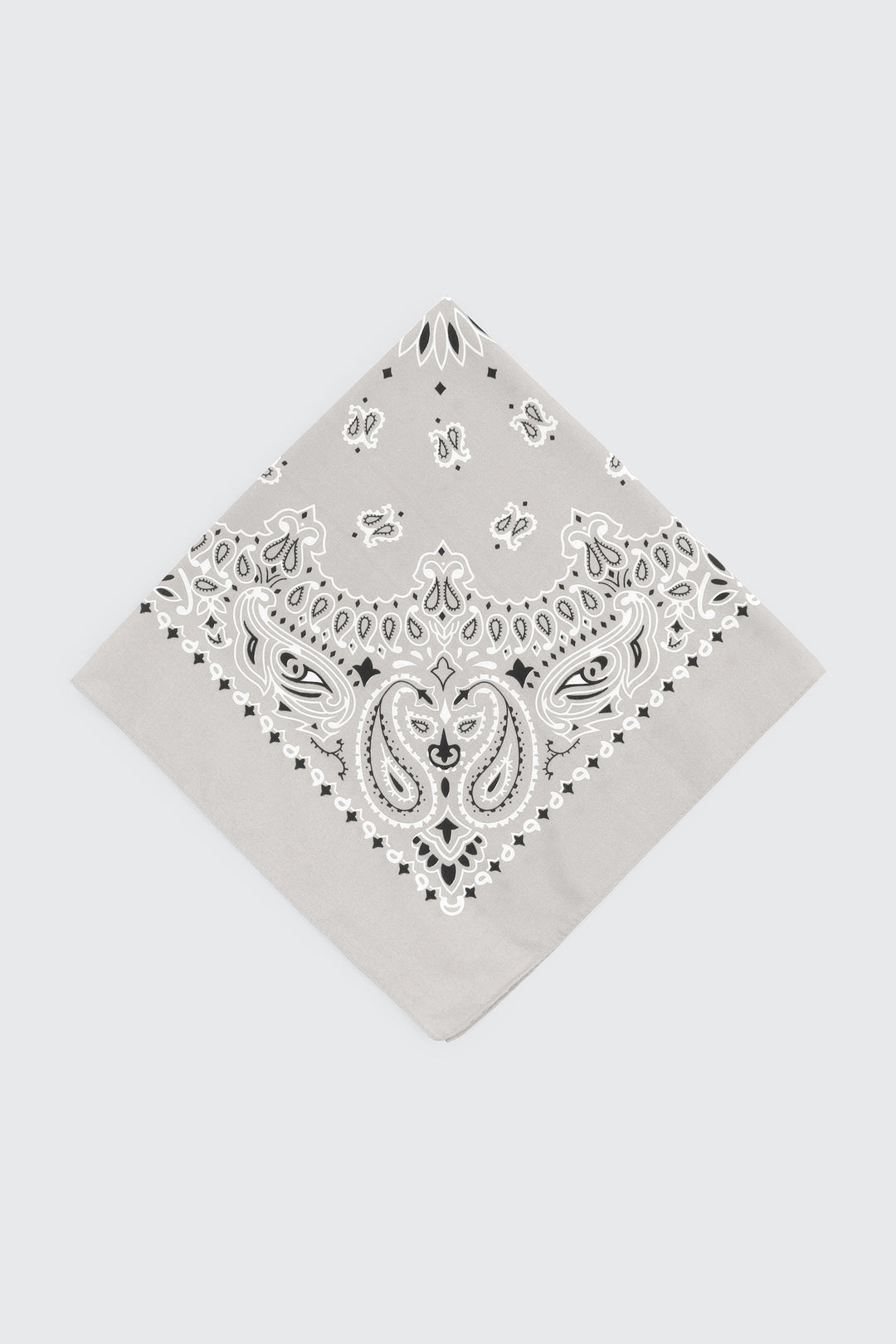 Paisley Bandana