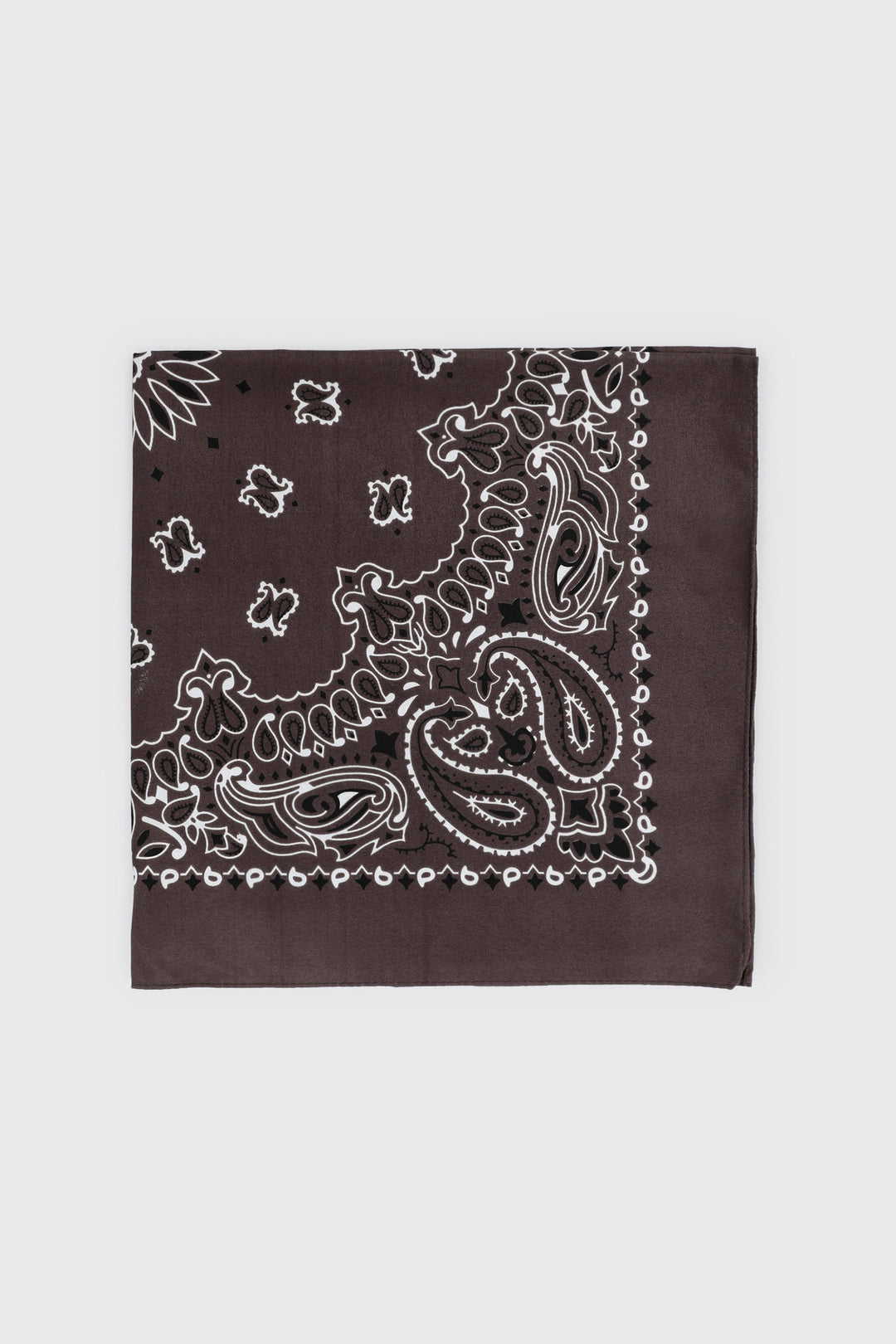 Paisley Bandana