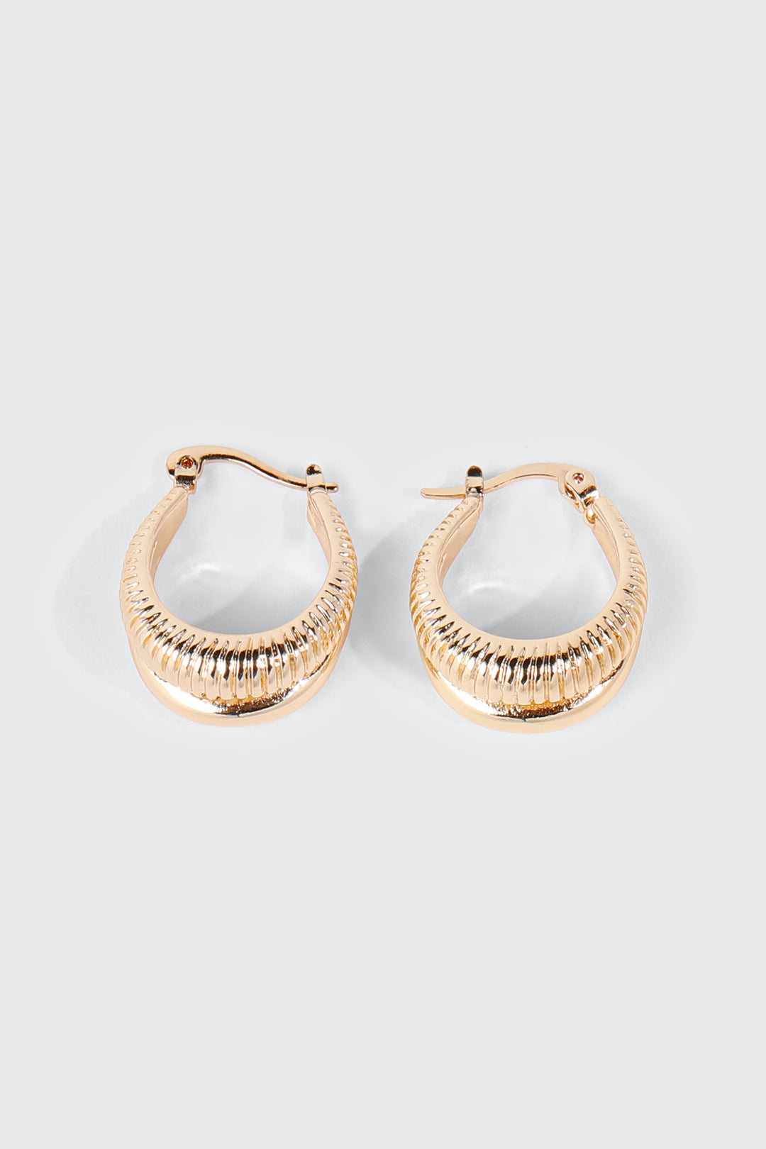 Two Row Hoop Earrings