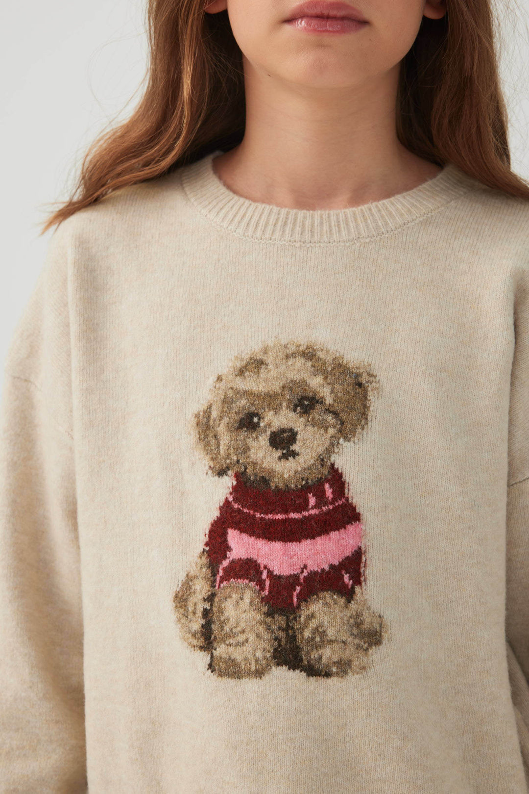 Chandail jacquard à motif de chien